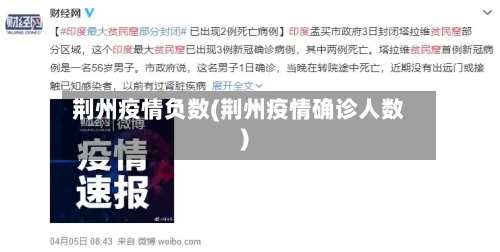 荆州疫情负数(荆州疫情确诊人数)-第2张图片