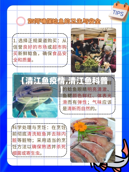【清江鱼疫情,清江鱼科普】