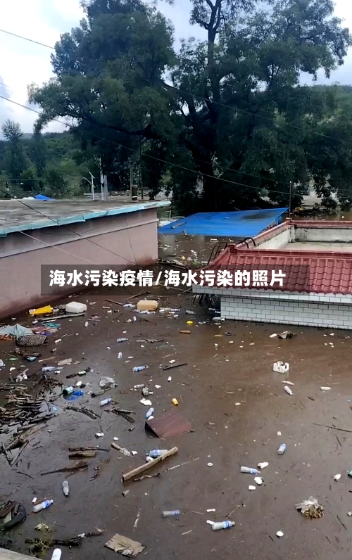 海水污染疫情/海水污染的照片-第2张图片