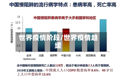 世界疫情阶段/世界疫情趋缓