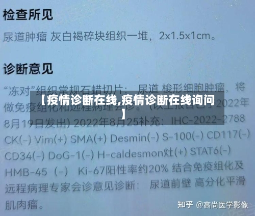 【疫情诊断在线,疫情诊断在线询问】-第2张图片