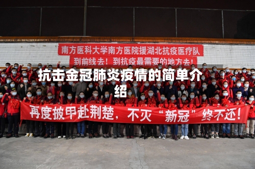 抗击金冠肺炎疫情的简单介绍-第3张图片