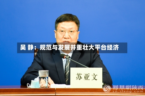吴 静：规范与发展并重壮大平台经济-第2张图片