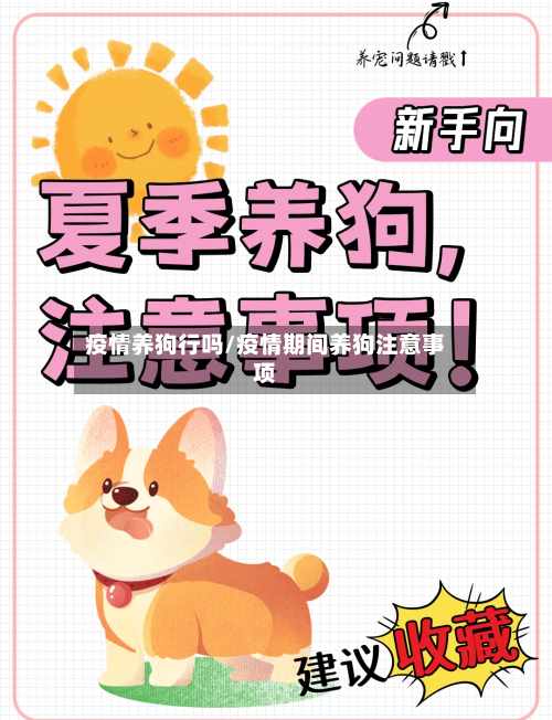 疫情养狗行吗/疫情期间养狗注意事项