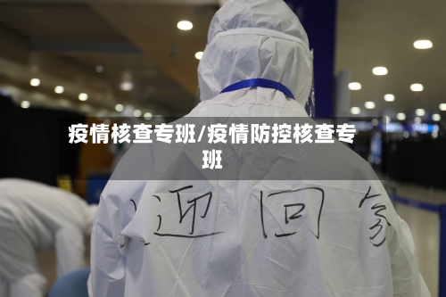 疫情核查专班/疫情防控核查专班