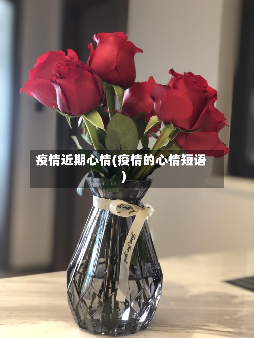 疫情近期心情(疫情的心情短语)