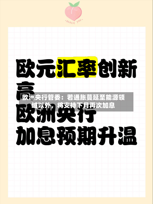 欧洲央行管委：若通胀蔓延至能源领域以外，将支持下月再次加息