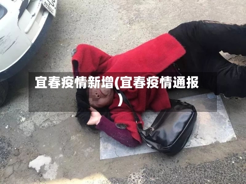 宜春疫情新增(宜春疫情通报)-第3张图片