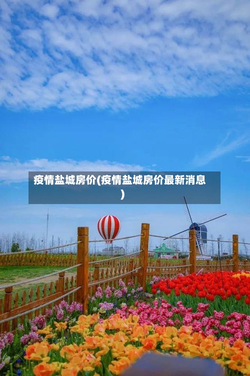 疫情盐城房价(疫情盐城房价最新消息)-第3张图片