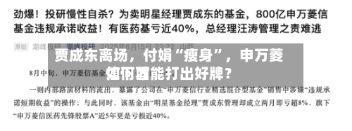 贾成东离场，付娟“瘦身”，申万菱信下面如何才能打出好牌？-第3张图片