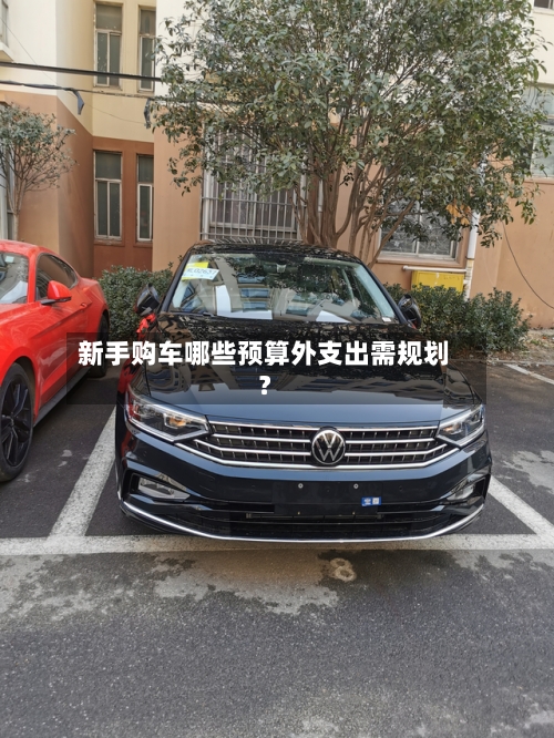 新手购车哪些预算外支出需规划？-第2张图片