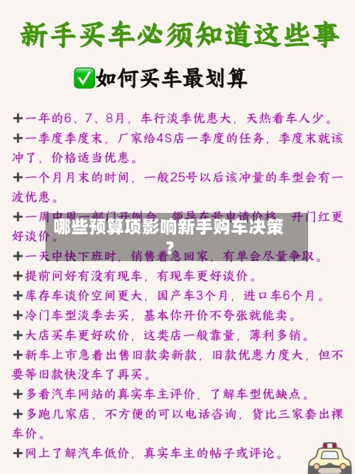 哪些预算项影响新手购车决策?-第2张图片