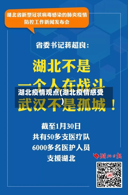 湖北疫情观点(湖北疫情感受)