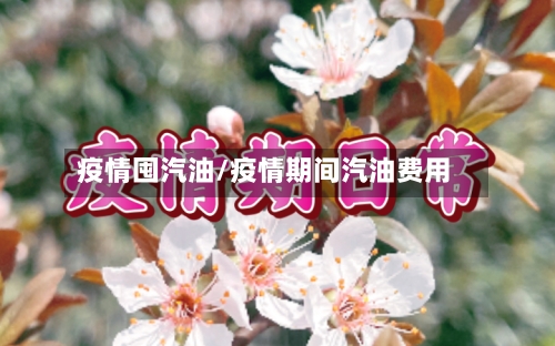 疫情囤汽油/疫情期间汽油费用