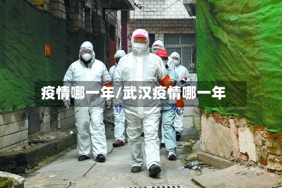 疫情哪一年/武汉疫情哪一年-第2张图片