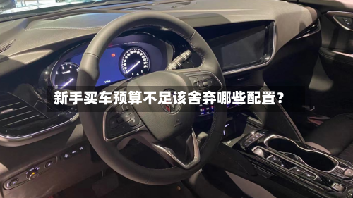 新手买车预算不足该舍弃哪些配置？-第2张图片