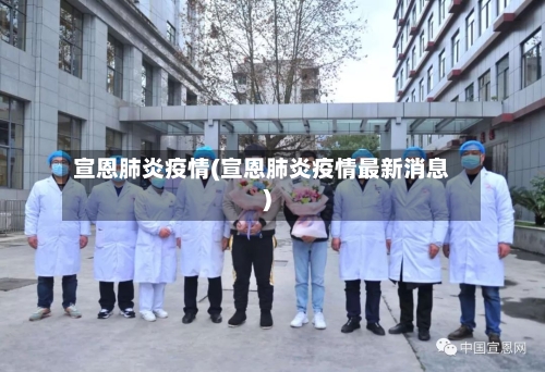 宣恩肺炎疫情(宣恩肺炎疫情最新消息)