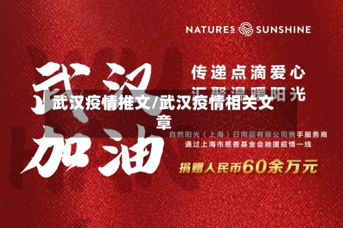 武汉疫情推文/武汉疫情相关文章