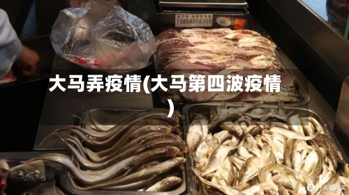 大马弄疫情(大马第四波疫情)