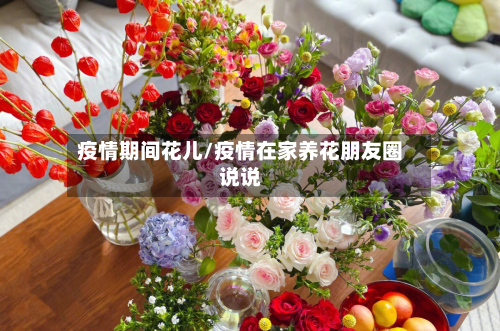 疫情期间花儿/疫情在家养花朋友圈说说