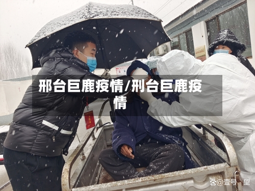 邢台巨鹿疫情/刑台巨鹿疫情-第3张图片