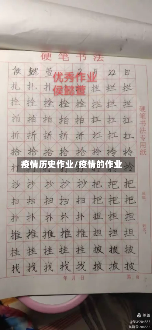 疫情历史作业/疫情的作业-第2张图片