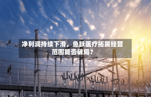 净利润持续下滑，鱼跃医疗拓展经营范围能否破局？