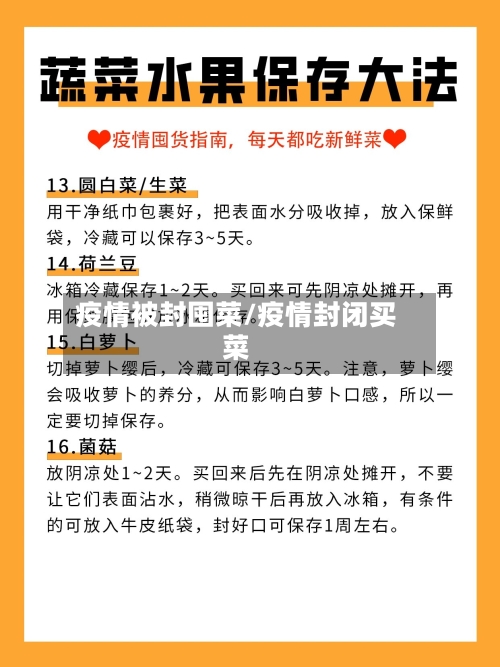 疫情被封囤菜/疫情封闭买菜-第1张图片