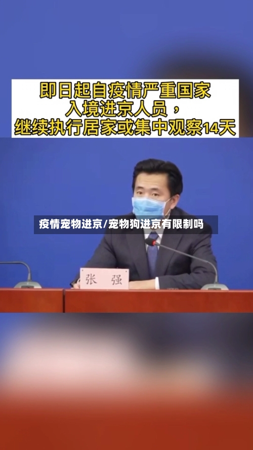 疫情宠物进京/宠物狗进京有限制吗-第2张图片