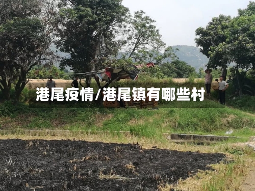 港尾疫情/港尾镇有哪些村-第2张图片