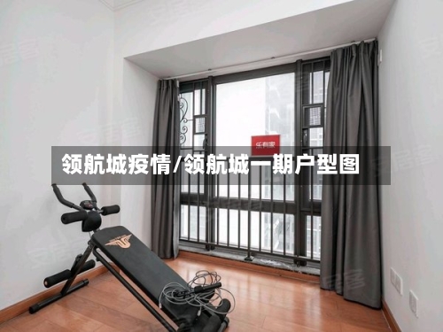 领航城疫情/领航城一期户型图