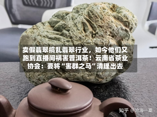 卖假翡翠搞乱翡翠行业，如今他们又跑到直播间祸害普洱茶！云南省茶业协会：要将“害群之马”清理出去-第2张图片