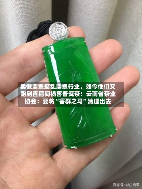 卖假翡翠搞乱翡翠行业，如今他们又跑到直播间祸害普洱茶！云南省茶业协会：要将“害群之马”清理出去-第3张图片
