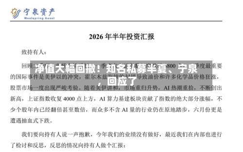 净值大幅回撤！知名私募半夏	、宁泉，回应了-第3张图片
