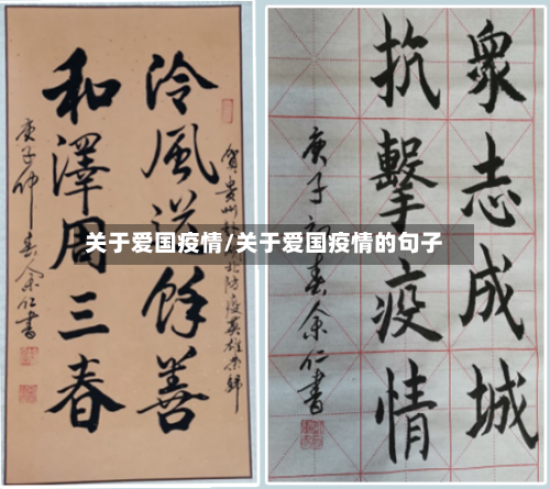 关于爱国疫情/关于爱国疫情的句子