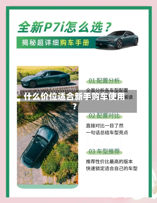 什么价位适合新手购车使用？-第2张图片