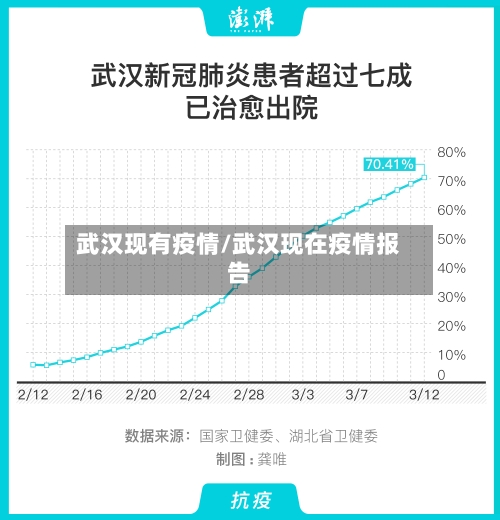 武汉现有疫情/武汉现在疫情报告-第3张图片