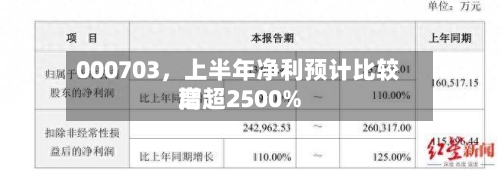 000703	，上半年净利预计比较高增超2500%-第3张图片