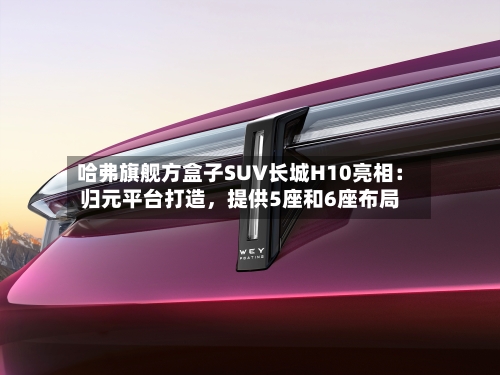 哈弗旗舰方盒子SUV长城H10亮相：归元平台打造，提供5座和6座布局-第3张图片