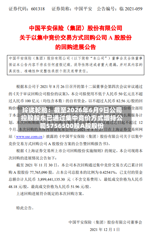 玲珑轮胎：截至2026年6月9日公司控股股东已通过集中竞价方式增持公司5756500股A股股份