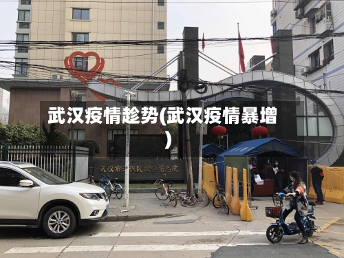武汉疫情趁势(武汉疫情暴增)-第3张图片