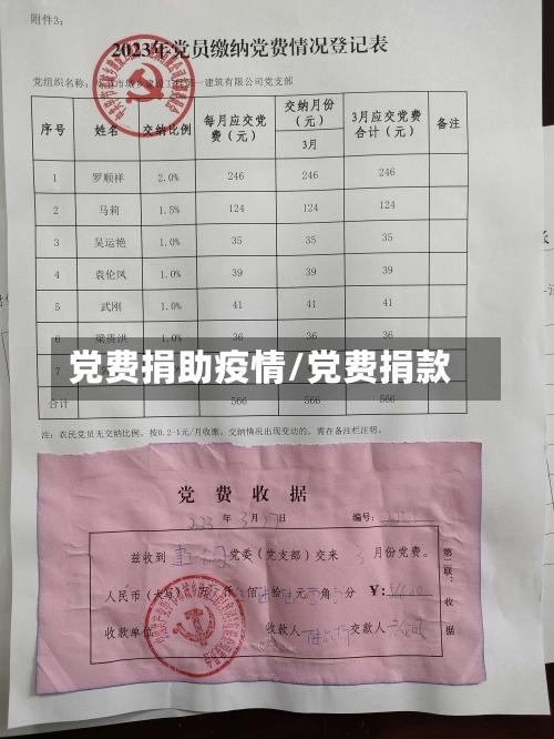 党费捐助疫情/党费捐款