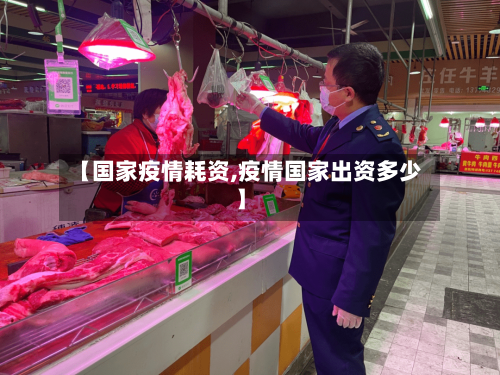 【国家疫情耗资,疫情国家出资多少】-第3张图片