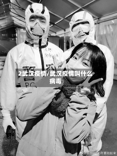 2武汉疫情/武汉疫情叫什么病毒