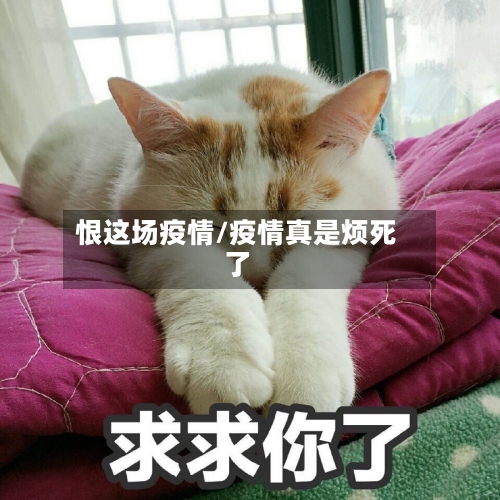 恨这场疫情/疫情真是烦死了