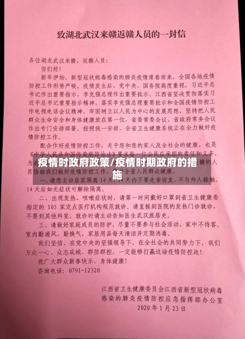 疫情时政府政策/疫情时期政府的措施