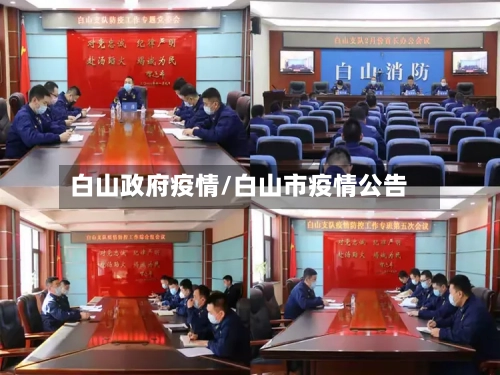 白山政府疫情/白山市疫情公告